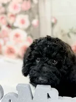 processed/9853aaed-f463-4726-bdf3-b5d2c7bda601/listing/4a7ff4c1-4642-4ba6-88ff-5f27aec92334/fcdfe74a-a2e6-448e-aeb3-bed1fb0139b9