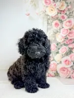 processed/9853aaed-f463-4726-bdf3-b5d2c7bda601/listing/4a7ff4c1-4642-4ba6-88ff-5f27aec92334/fd6f0d24-7c64-4582-bb47-839c655f7fc7