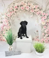 processed/9853aaed-f463-4726-bdf3-b5d2c7bda601/listing/a2eaa6c2-bb55-4843-8ebf-2eb7b97eae07/25f02077-8eae-47dd-86b0-3fde621553ff