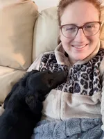 Rye, a male Havapoo and Miniature Goldendoodle for sale in Augusta, GA – Photo 2 of 10