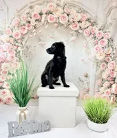 processed/9853aaed-f463-4726-bdf3-b5d2c7bda601/listing/a2eaa6c2-bb55-4843-8ebf-2eb7b97eae07/76dcc29c-b4a8-4903-8970-0ba506fdf48b