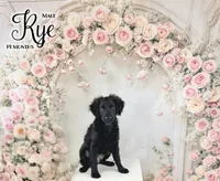 processed/9853aaed-f463-4726-bdf3-b5d2c7bda601/listing/a2eaa6c2-bb55-4843-8ebf-2eb7b97eae07/b55fde08-4731-43f3-a154-087b8a302e10