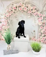 processed/9853aaed-f463-4726-bdf3-b5d2c7bda601/listing/a2eaa6c2-bb55-4843-8ebf-2eb7b97eae07/e181b963-6528-4e19-9209-55bebcf74b1c