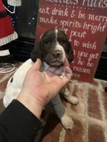 processed/985c6ea8-b72f-4fc3-8a3a-75d92d2f8d22/listing/9190c3e1-dfb7-4f92-8693-27313811214c/719be64f-0a19-4664-af9d-bdbb4030afc4