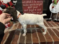 processed/985c6ea8-b72f-4fc3-8a3a-75d92d2f8d22/listing/9190c3e1-dfb7-4f92-8693-27313811214c/8e9e67d8-6827-4b0c-9aea-93de8a9cf381