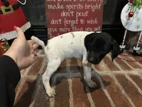 processed/985c6ea8-b72f-4fc3-8a3a-75d92d2f8d22/listing/960efa2e-9331-436c-a3ea-f90cb69b6539/2561d048-f16f-49e9-a0dd-62005f776509