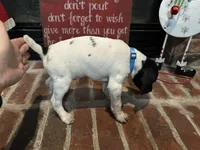 processed/985c6ea8-b72f-4fc3-8a3a-75d92d2f8d22/listing/960efa2e-9331-436c-a3ea-f90cb69b6539/3435c21e-2357-4765-88d9-3b3616b1c8e5