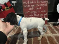 processed/985c6ea8-b72f-4fc3-8a3a-75d92d2f8d22/listing/960efa2e-9331-436c-a3ea-f90cb69b6539/76604038-063e-42be-8123-587ee0bdfa70