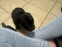 processed/985f26cc-3009-4e87-b93a-20b3a1330340/listing/2a43b0b4-fe9e-479b-b132-9120350f923e/4edcf4c7-07e4-4a69-b6af-e6de384faa16