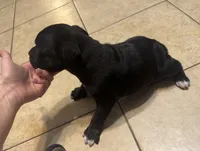 processed/985f26cc-3009-4e87-b93a-20b3a1330340/listing/2a43b0b4-fe9e-479b-b132-9120350f923e/cb7cb54a-d869-433d-aa36-ddd468e3377a