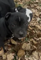 processed/985f26cc-3009-4e87-b93a-20b3a1330340/listing/2a43b0b4-fe9e-479b-b132-9120350f923e/e48ae1c1-c28a-4e67-881e-409068cba4ea