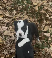 processed/985f26cc-3009-4e87-b93a-20b3a1330340/listing/75b3c91c-6e7e-4fa9-a41d-48b61f7469ef/15942ce3-22d5-482c-a631-10ea0deab471