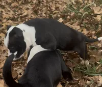 processed/985f26cc-3009-4e87-b93a-20b3a1330340/listing/75b3c91c-6e7e-4fa9-a41d-48b61f7469ef/1adcf5af-7cd0-4431-90ed-ea9383926630