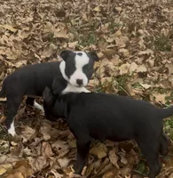 processed/985f26cc-3009-4e87-b93a-20b3a1330340/listing/75b3c91c-6e7e-4fa9-a41d-48b61f7469ef/27635056-26e3-46aa-aa0d-42959e016ef7