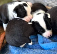 processed/985f26cc-3009-4e87-b93a-20b3a1330340/listing/75b3c91c-6e7e-4fa9-a41d-48b61f7469ef/33d14173-66b4-419d-aa2f-033dceff134d