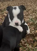 processed/985f26cc-3009-4e87-b93a-20b3a1330340/listing/75b3c91c-6e7e-4fa9-a41d-48b61f7469ef/667f12f6-e777-4eca-a35d-c051aff340e4