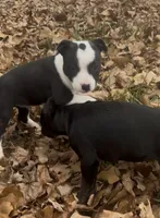 processed/985f26cc-3009-4e87-b93a-20b3a1330340/listing/75b3c91c-6e7e-4fa9-a41d-48b61f7469ef/8dd8544f-fe08-4207-b044-a7fc296b33ee