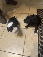 processed/985f26cc-3009-4e87-b93a-20b3a1330340/listing/75b3c91c-6e7e-4fa9-a41d-48b61f7469ef/e72fb173-6d21-4cb7-a1c1-a2d66dcab80f