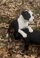 processed/985f26cc-3009-4e87-b93a-20b3a1330340/listing/75b3c91c-6e7e-4fa9-a41d-48b61f7469ef/f783202d-1f51-4fe7-ac0f-79835ebf5d12