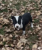 processed/985f26cc-3009-4e87-b93a-20b3a1330340/listing/b857b8c6-e514-4749-a750-be39587f9437/130c4ec8-33da-47d5-8b38-88a203f146b5