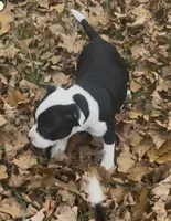 processed/985f26cc-3009-4e87-b93a-20b3a1330340/listing/b857b8c6-e514-4749-a750-be39587f9437/62e4ac23-f1b7-40b3-9a38-217988cf7c47