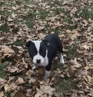 processed/985f26cc-3009-4e87-b93a-20b3a1330340/listing/b857b8c6-e514-4749-a750-be39587f9437/65f805d3-d900-459f-9fe1-d7fe707d98dd