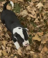 processed/985f26cc-3009-4e87-b93a-20b3a1330340/listing/b857b8c6-e514-4749-a750-be39587f9437/690a1b92-fe78-45e8-82cf-7aa217240253