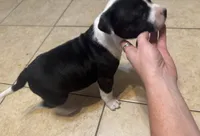 processed/985f26cc-3009-4e87-b93a-20b3a1330340/listing/b857b8c6-e514-4749-a750-be39587f9437/b2f438ae-eac7-4497-9df6-70e55170811e