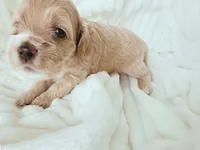 processed/9863ffe6-bf11-4614-bbf6-f1734a9f2137/facility/201e80f5-b4c4-41bf-9d86-133a5ca7e205