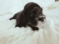 processed/9863ffe6-bf11-4614-bbf6-f1734a9f2137/facility/40360e66-eab6-494e-b75f-cc58b17f6e14