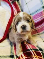 processed/9863ffe6-bf11-4614-bbf6-f1734a9f2137/facility/84883b01-02cd-4328-bcbc-895f936d513f