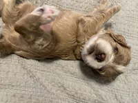 processed/9863ffe6-bf11-4614-bbf6-f1734a9f2137/facility/8d63295e-3c66-4dfa-a152-16ffecd63f52