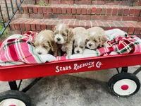 processed/9863ffe6-bf11-4614-bbf6-f1734a9f2137/facility/a3b17bb2-f6e9-4272-8d91-f5216528e1f4