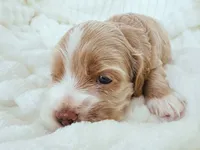 processed/9863ffe6-bf11-4614-bbf6-f1734a9f2137/facility/b0e945da-dae6-411d-a48a-011347fe5e30