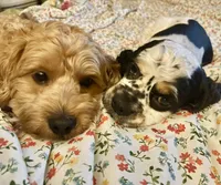 processed/9863ffe6-bf11-4614-bbf6-f1734a9f2137/facility/e6fae343-8da9-41ce-bb9d-e150b8e3491e