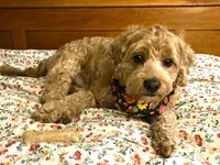 processed/9863ffe6-bf11-4614-bbf6-f1734a9f2137/facility/f2b1d836-c382-4ae7-9022-cc320f03d4c8