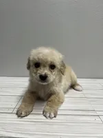 processed/986a0e52-03d8-4240-8f4e-dcee245eefa4/listing/cb3f7b62-9654-4089-bd04-dc4a319ad06e/2567ef3c-ca27-419b-9032-f84f4e99830c