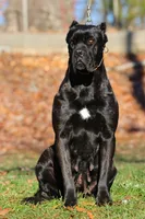 processed/986b6fea-3bc5-4ce6-9267-39ca7ed55589/facility/3252bf7c-f51d-4bd1-bff2-b5a6aec3286b