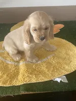 processed/986d40a0-55ce-40d6-821b-aec2cd2523bb/listing/993af547-e839-45e7-938e-166a564b3b3b/4896f892-a719-413b-80ea-7df934941a10