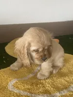 processed/986d40a0-55ce-40d6-821b-aec2cd2523bb/listing/993af547-e839-45e7-938e-166a564b3b3b/e84f3a53-1d81-4246-8a18-a463c5051b5f