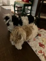 processed/986f044f-aa4f-40b4-8012-c13bd3b1a8c8/listing/3d659c62-fb91-4922-a9da-6591f1478cdc/948eec2b-cc71-4b25-90e8-c0f74f9f684c