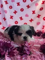 processed/986f044f-aa4f-40b4-8012-c13bd3b1a8c8/listing/3d659c62-fb91-4922-a9da-6591f1478cdc/a7311cab-b430-43d7-90db-4a3e7a2837e8