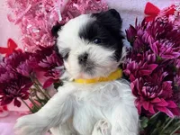 processed/986f044f-aa4f-40b4-8012-c13bd3b1a8c8/listing/3d659c62-fb91-4922-a9da-6591f1478cdc/cc72f692-00d4-44c8-98d9-ec05d67bd338