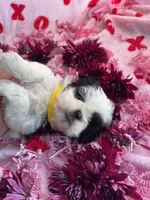 processed/986f044f-aa4f-40b4-8012-c13bd3b1a8c8/listing/3d659c62-fb91-4922-a9da-6591f1478cdc/f24e45f4-34a8-49b9-96b2-27243fa177fe