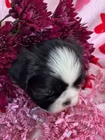 processed/986f044f-aa4f-40b4-8012-c13bd3b1a8c8/listing/821e9b27-e4c9-458c-8582-2f3df9874ab5/268db221-80df-4b29-a8fd-98033511d029