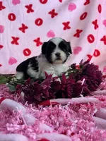 processed/986f044f-aa4f-40b4-8012-c13bd3b1a8c8/listing/821e9b27-e4c9-458c-8582-2f3df9874ab5/3614ea24-5227-4023-831a-1e9f2b0416dc