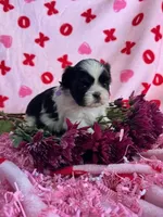 processed/986f044f-aa4f-40b4-8012-c13bd3b1a8c8/listing/821e9b27-e4c9-458c-8582-2f3df9874ab5/4803e7d7-13d8-4533-8c7f-22001b829fae