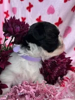 processed/986f044f-aa4f-40b4-8012-c13bd3b1a8c8/listing/821e9b27-e4c9-458c-8582-2f3df9874ab5/824eed7f-d2de-4d2f-9f4a-62b13320fb9a