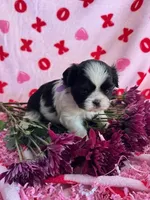 processed/986f044f-aa4f-40b4-8012-c13bd3b1a8c8/listing/821e9b27-e4c9-458c-8582-2f3df9874ab5/94ff8f00-7dc4-41f0-8db3-c955da4a7457