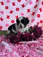 processed/986f044f-aa4f-40b4-8012-c13bd3b1a8c8/listing/821e9b27-e4c9-458c-8582-2f3df9874ab5/95c6c46e-e1c2-4b12-8e40-fdc3cc900fe3